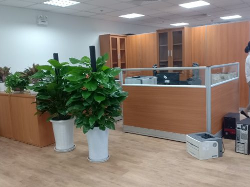 chuyển nhà giá rẻ