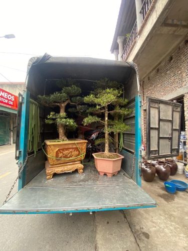 nhận chở hàng bằng xe tải tại Thanh Hoá